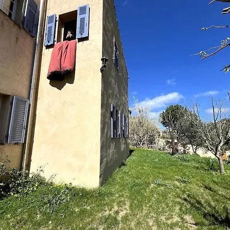 Maison De Caractere A Pigna