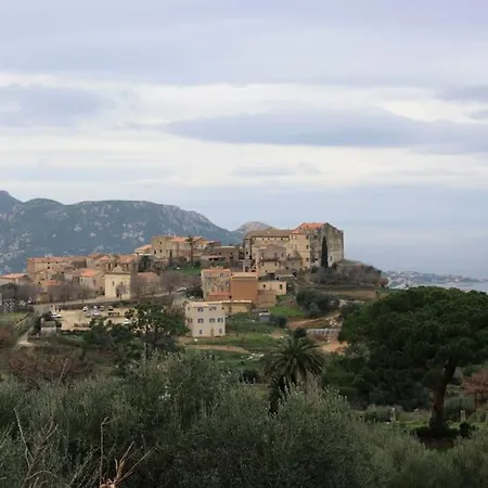 Maison De Caractere A 펜션 Pigna