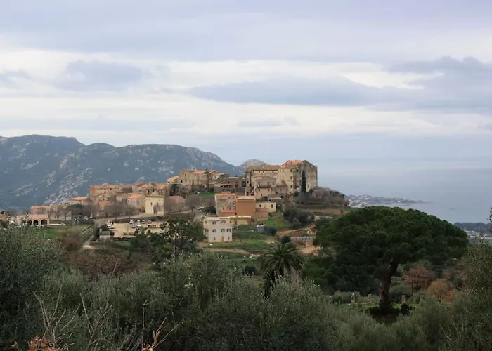 Maison De Caractere A 度假居 Pigna